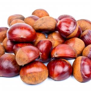 Fresh Chestnut