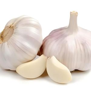 Fresh Garlic